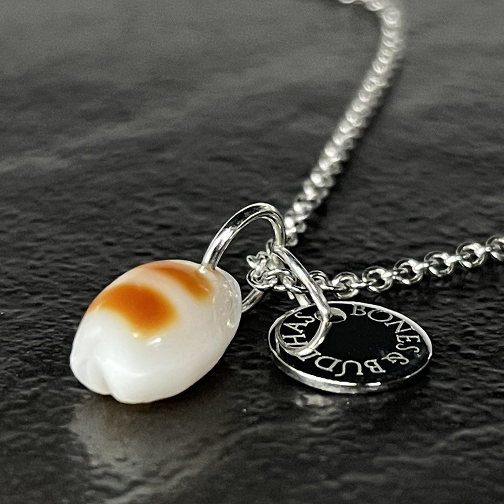 The Ocean Collection