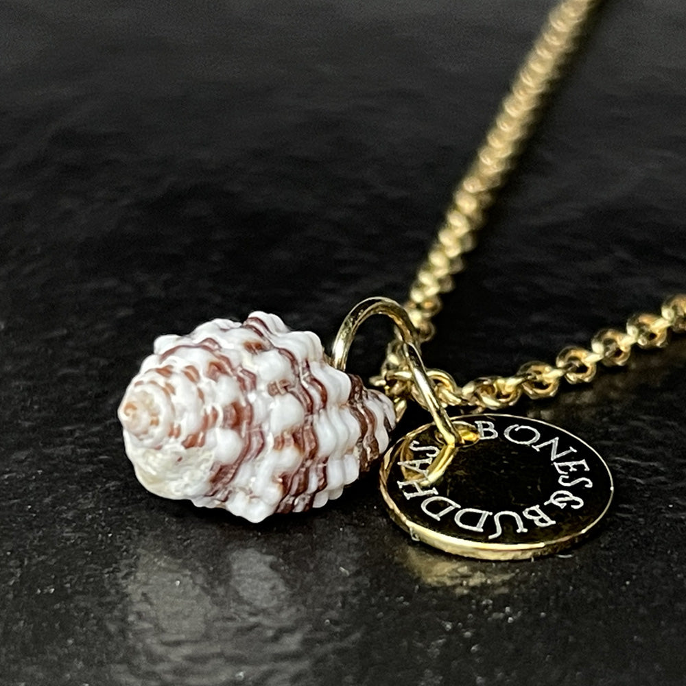 Halskette Costellariidae-Muschel small - BONES & BUDDHAS